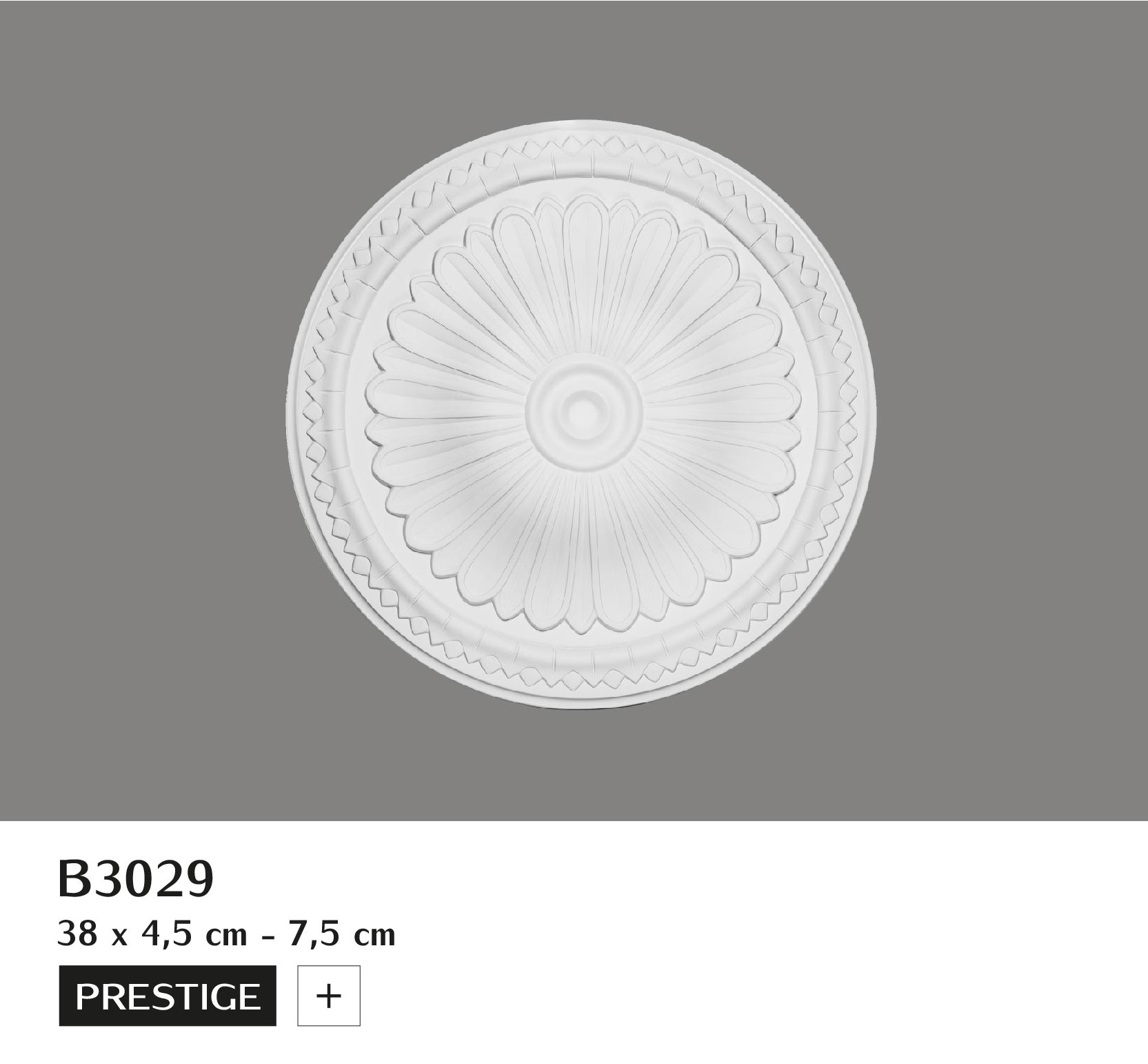 B3029