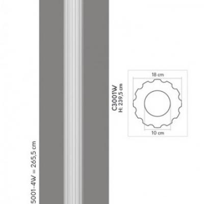 Medium c3001 w 1w 1
