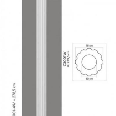 Medium c3001 w 2w
